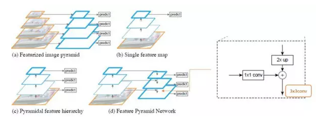 FPN1